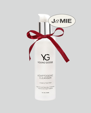 Young Goose Adaptogenic Cleanser in 180ml Holiday Limited Size #180MLHolidaySize